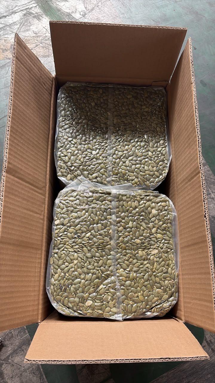 Vacuum-sealed pumpkin kernel packing inside an export carton